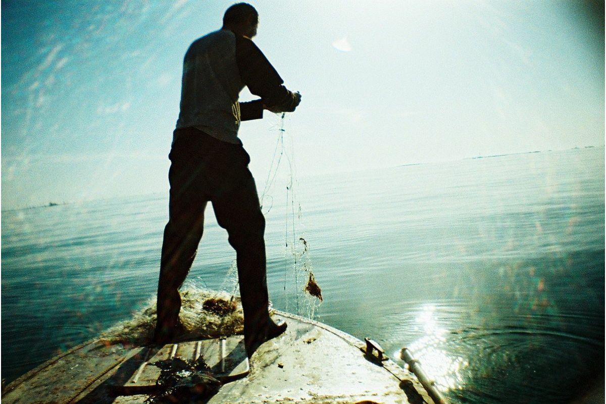 La Sardina & Flash – DIY