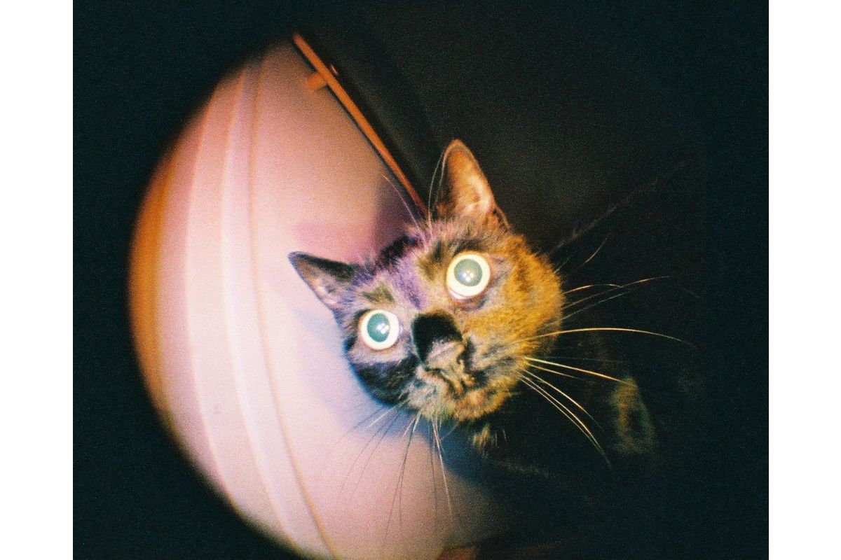 Fisheye Baby 110 - Gold